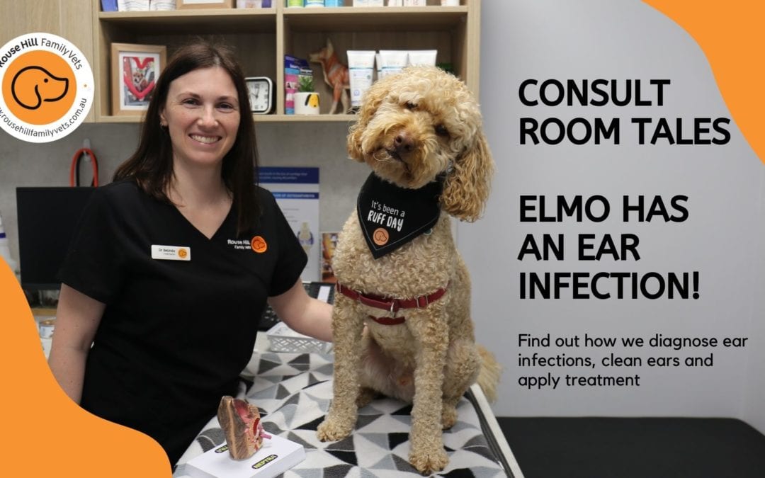 Consult Room Tales: Elmo’s Ear Infection