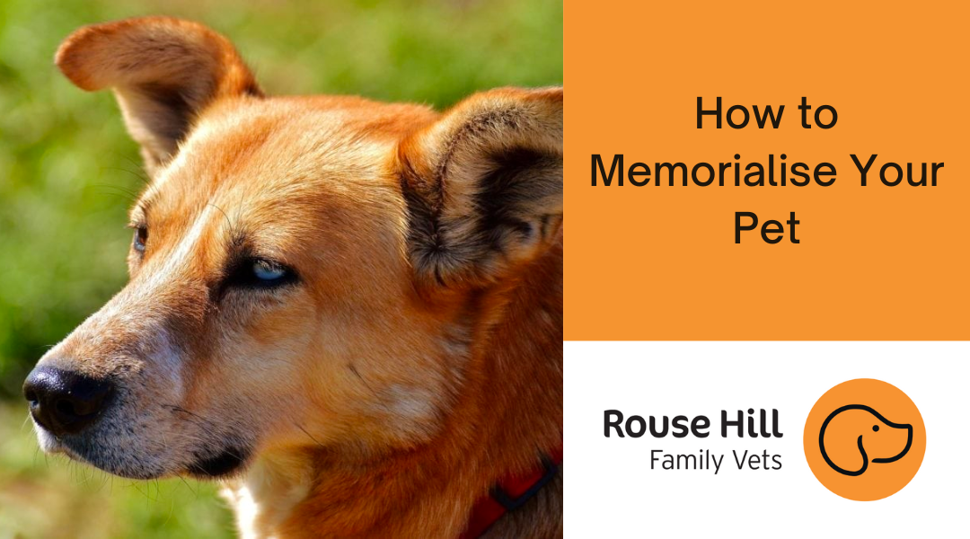 How to Memorialise Your Pet