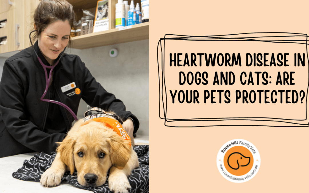 Heartworm Disease in Dogs and Cats: Are Your Pets Protected?