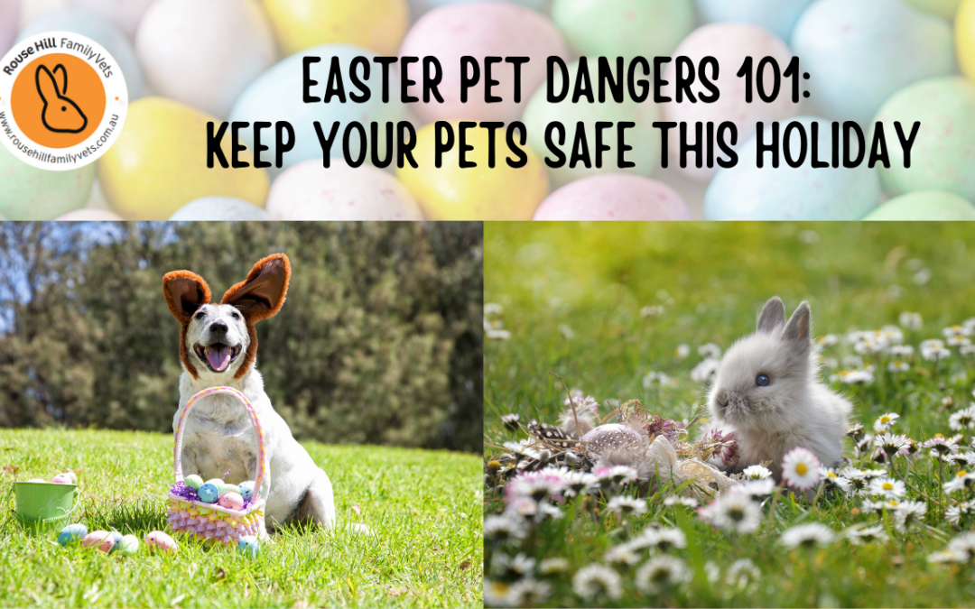🐣 Easter Pet Dangers 101: Keep Your Pets Safe This Holiday