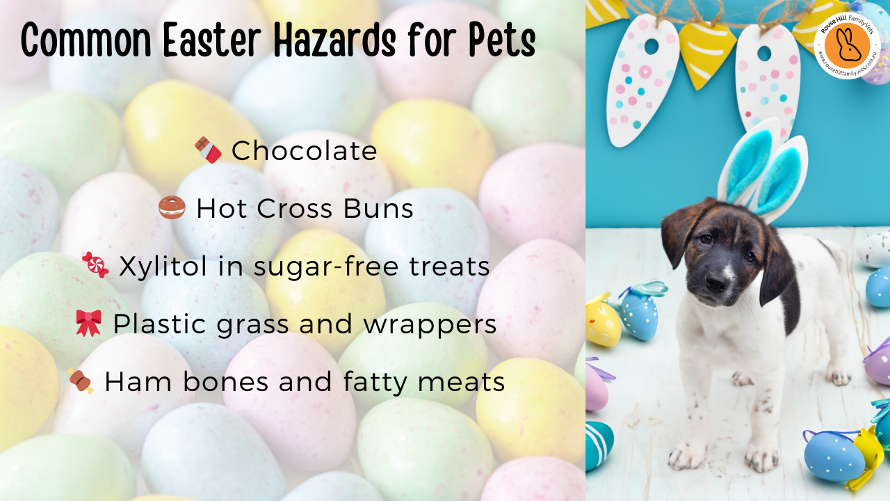 hazards for pets