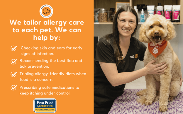 We tailer allergy care to each pet