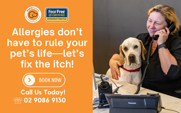 allergies dont have to rule your pets life-lets fix the itch