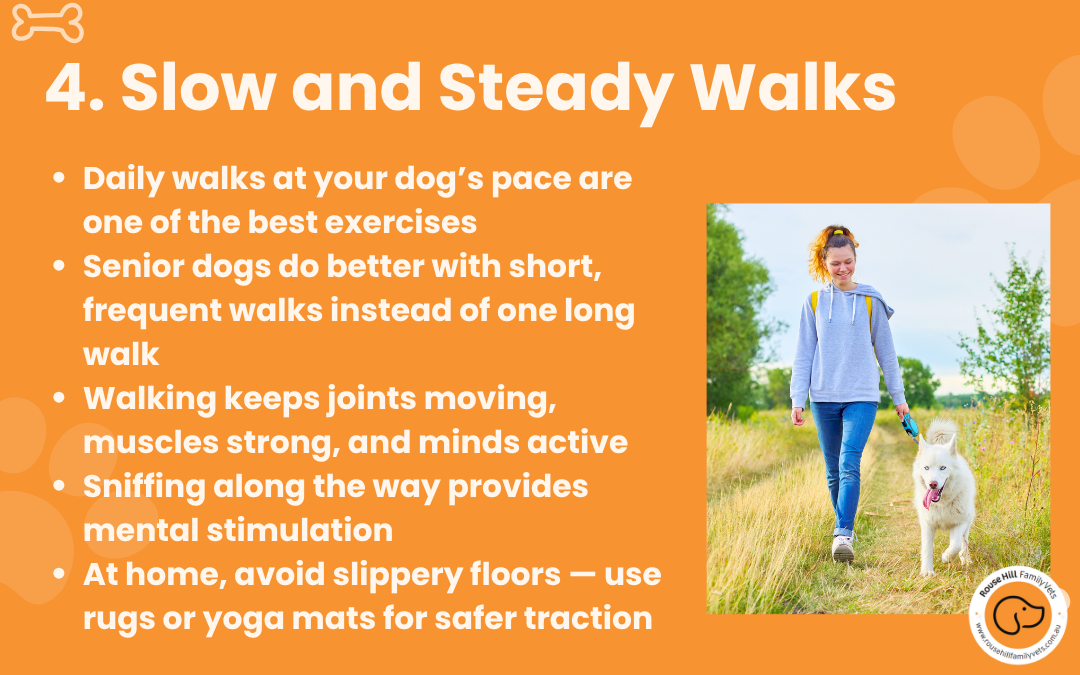 Your pets wellbeing and comfort come first