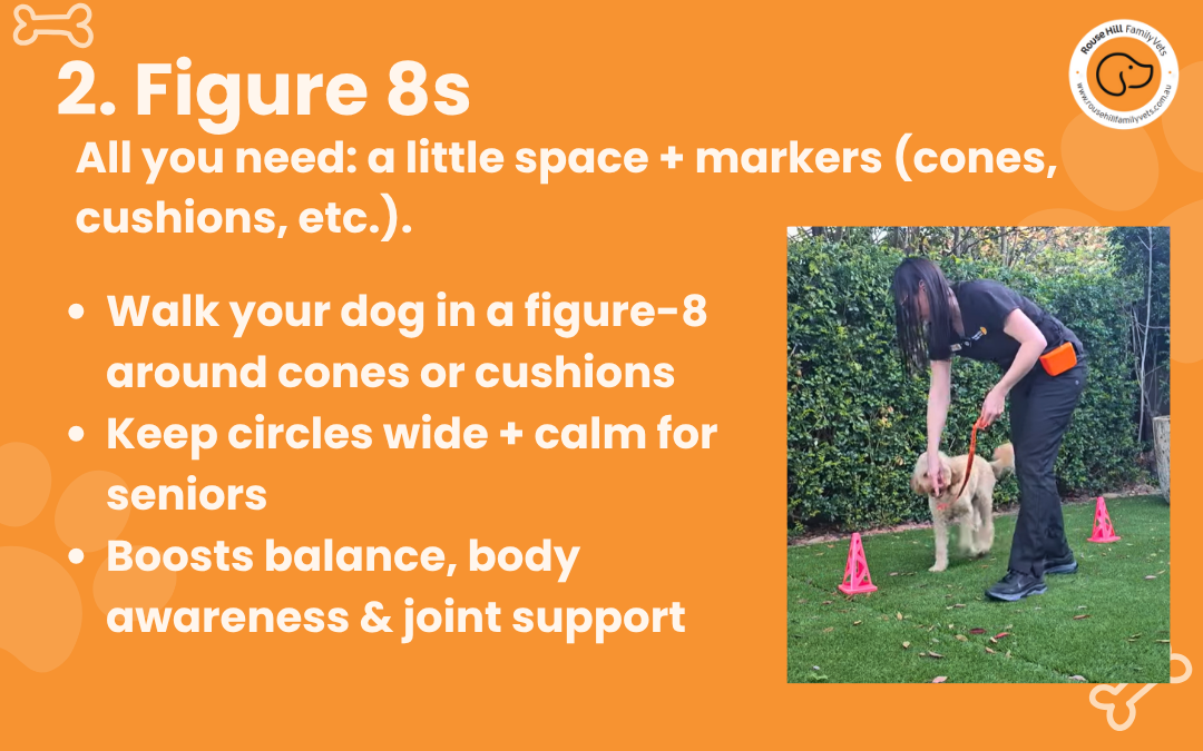 our dear free certified team takes the detective work seriously