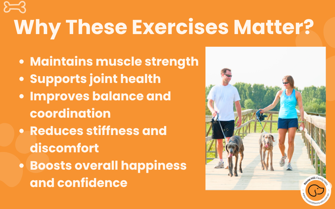 Your pets wellbeing and comfort come first